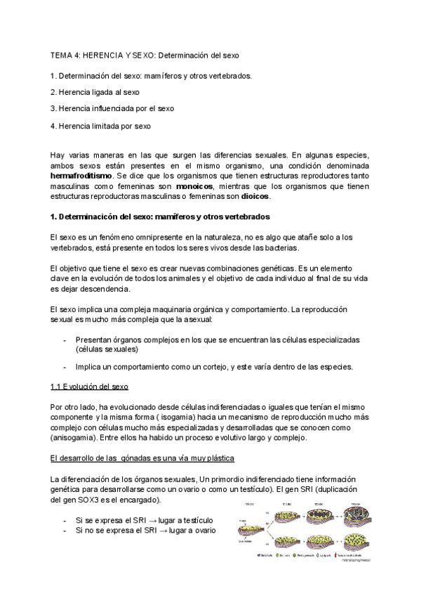 Miniatura del documento TEMA-4-HERENCIA-Y-SEXO.pdf