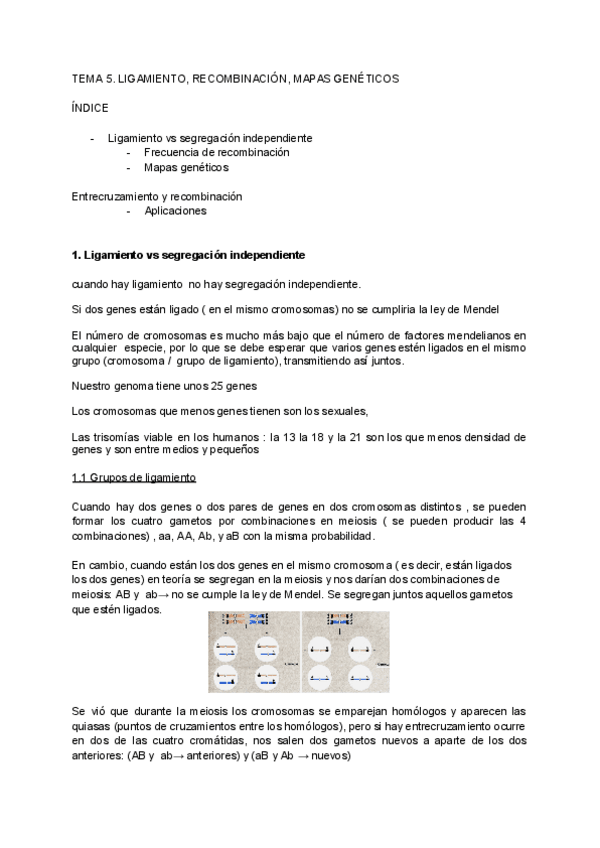 Miniatura del documento TEMA-5-LIGAMIENTO-RECOMBINACION-MAPAS-GENETICOS.pdf