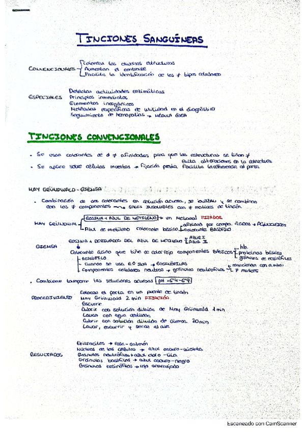 Miniatura del documento Esquema-tinciones-sanguineas.pdf