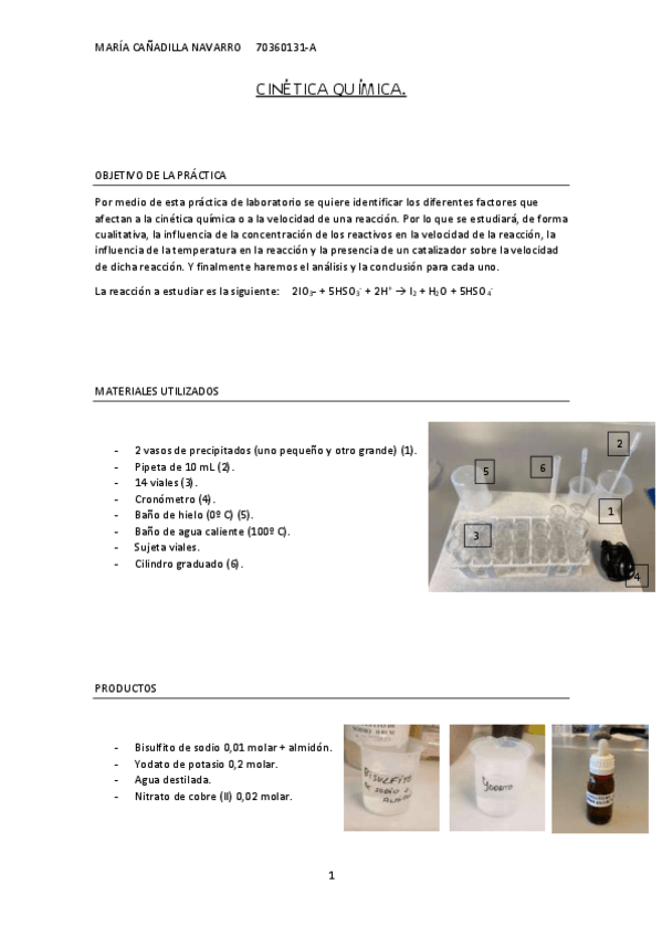 Miniatura del documento Practica-cinetica-quimica.pdf