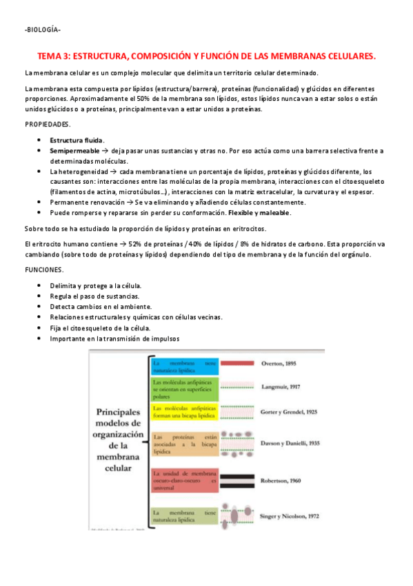 Miniatura del documento TEMA-3.pdf