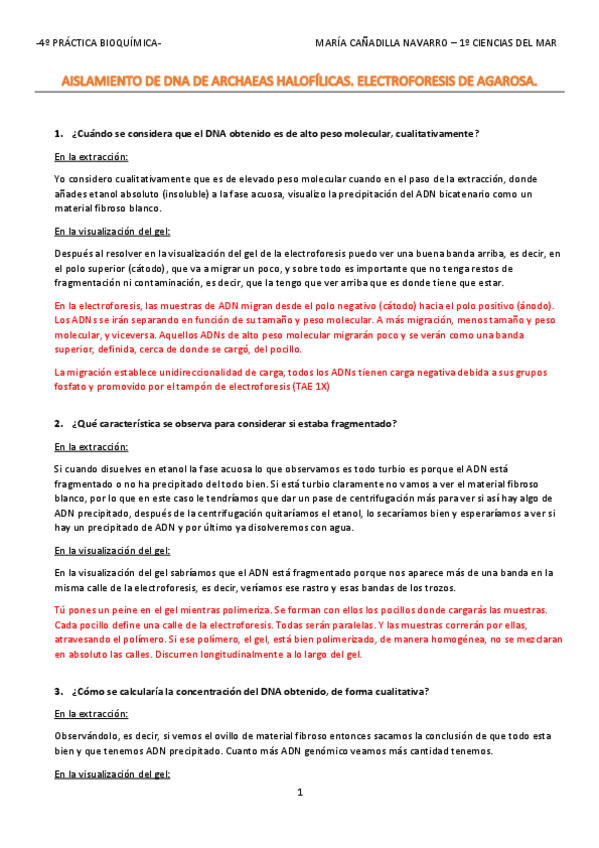 Miniatura del documento PRACTICA-4.pdf