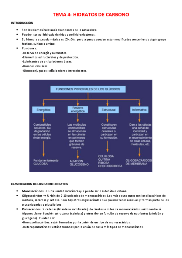Miniatura del documento TEMA-4.pdf