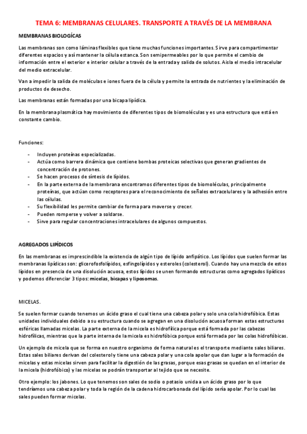 Miniatura del documento TEMA-6.pdf