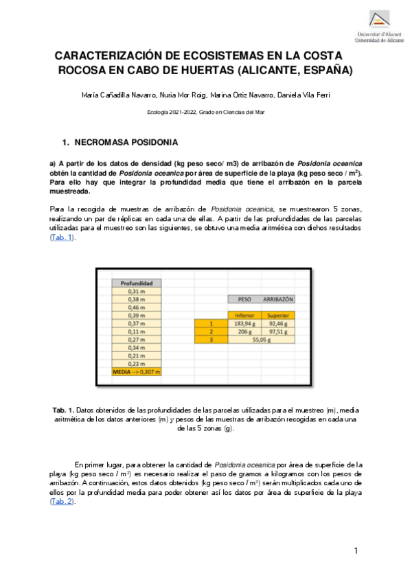 Miniatura del documento Informe-practica-Huertas.pdf
