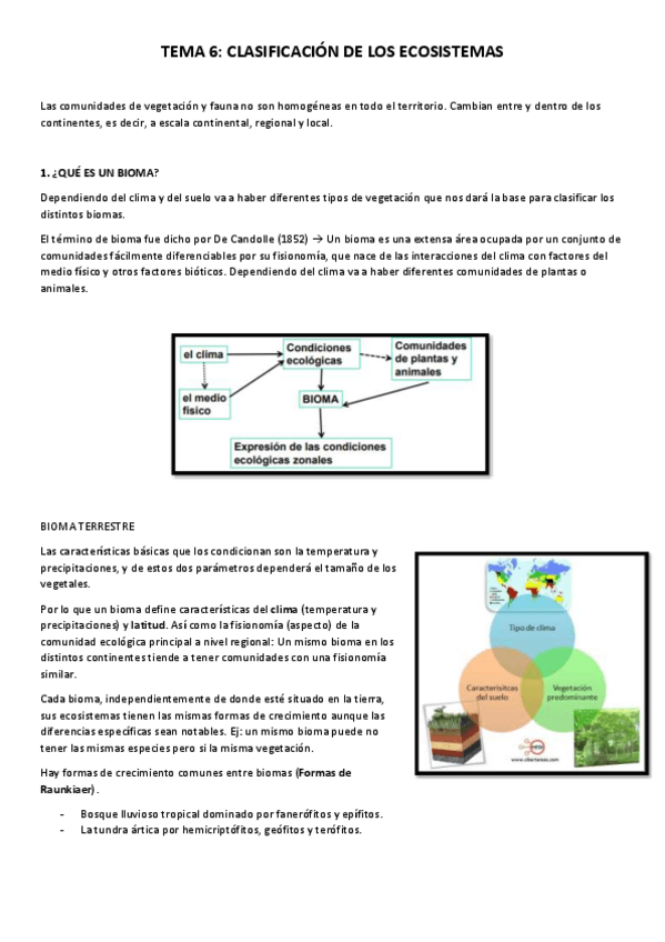 Miniatura del documento TEMA-6.pdf
