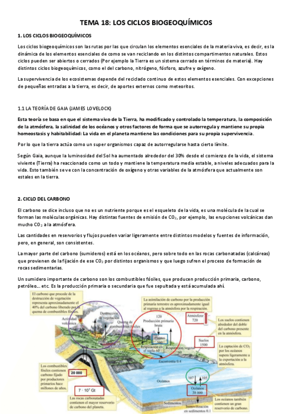 Miniatura del documento TEMA-18.pdf