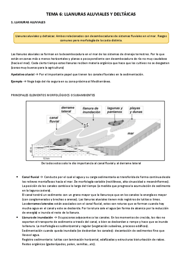 Miniatura del documento TEMA-6.pdf