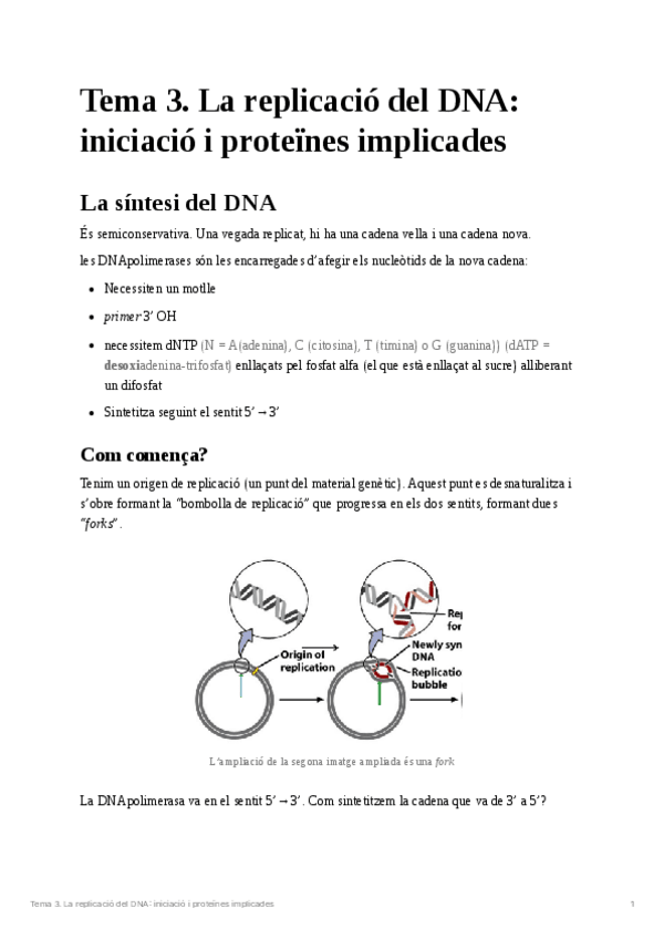 Miniatura del documento Tema-3Genetica-molecular.pdf