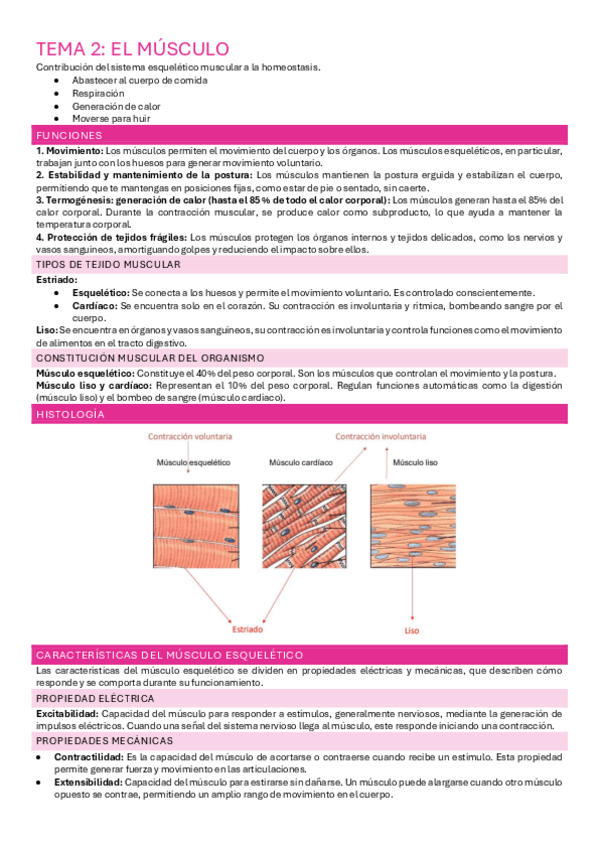 Miniatura del documento TEMA-2-MUSCULOS.pdf
