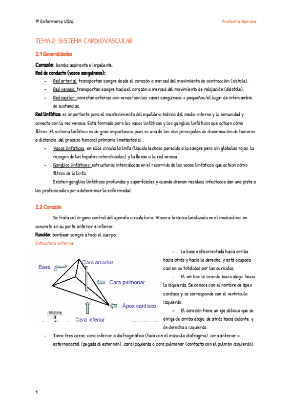 Miniatura del documento TEMA-2-SISTEMA-CARDIOVASCULAR-1.pdf