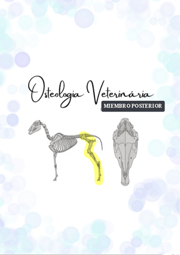 Miniatura del documento OSTEOLOGIA-MIEMBRO-PELVIANO.pdf