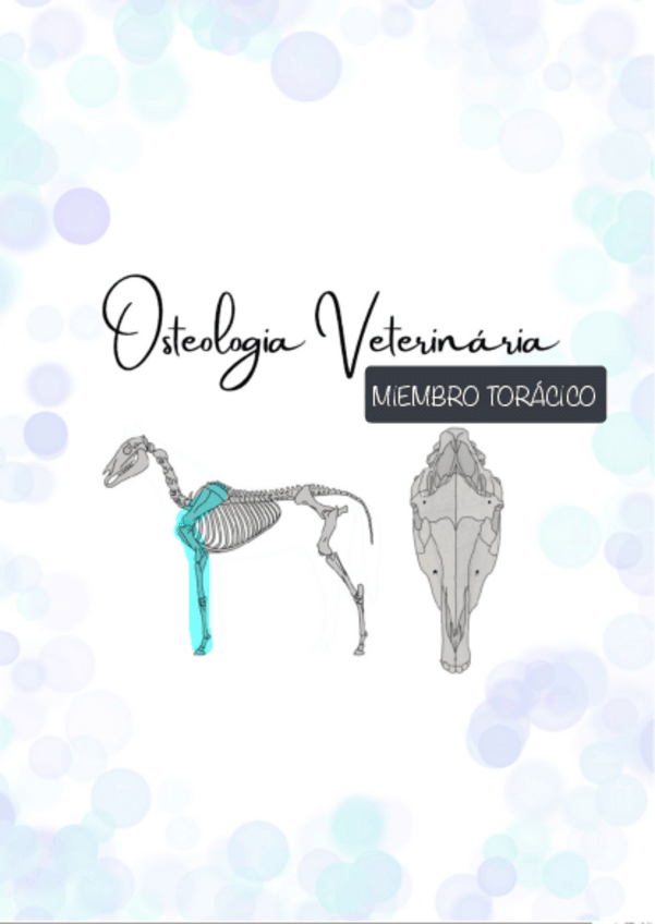 Miniatura del documento MIEMBRO-TORACICO.pdf