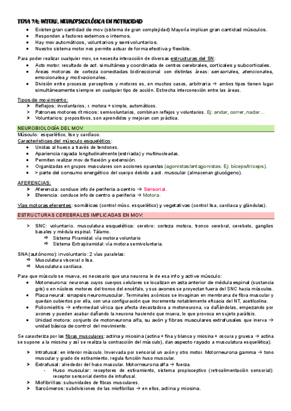 Miniatura del documento Tema-7A-y-7B-Motricidad.pdf
