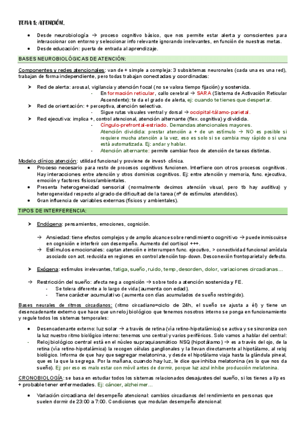 Miniatura del documento Tema-8-Atencion.pdf
