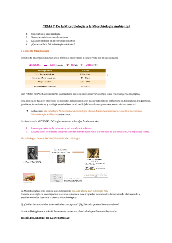 Miniatura del documento Micro-T1-T3.pdf