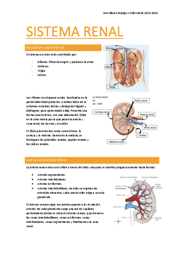 Miniatura del documento Sistema-renal-I.pdf