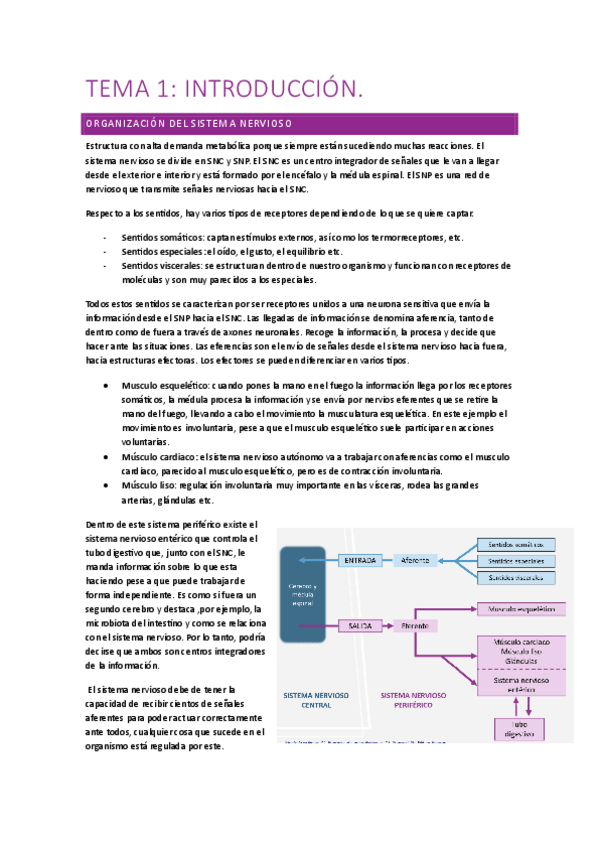 Miniatura del documento nervioso-tema-1-y-2.pdf