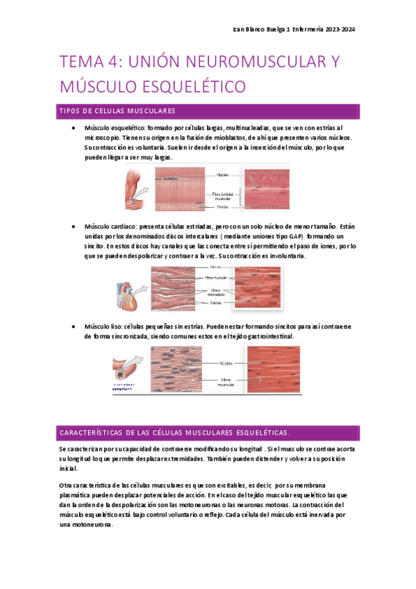Miniatura del documento Tema-4-nervioso.pdf