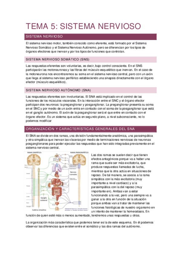 Miniatura del documento Tema-5-nervioso.pdf