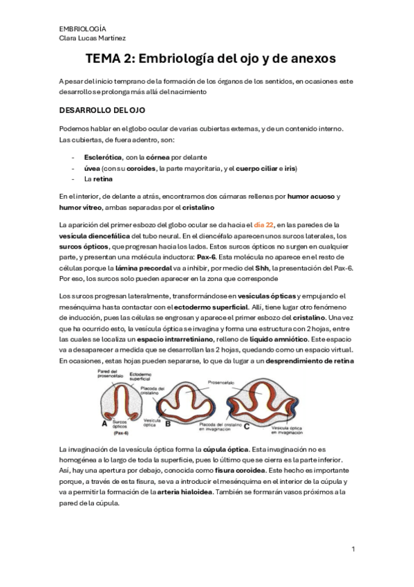 Miniatura del documento TEMA-2.-Embriologia-del-ojo-y-anexos.pdf