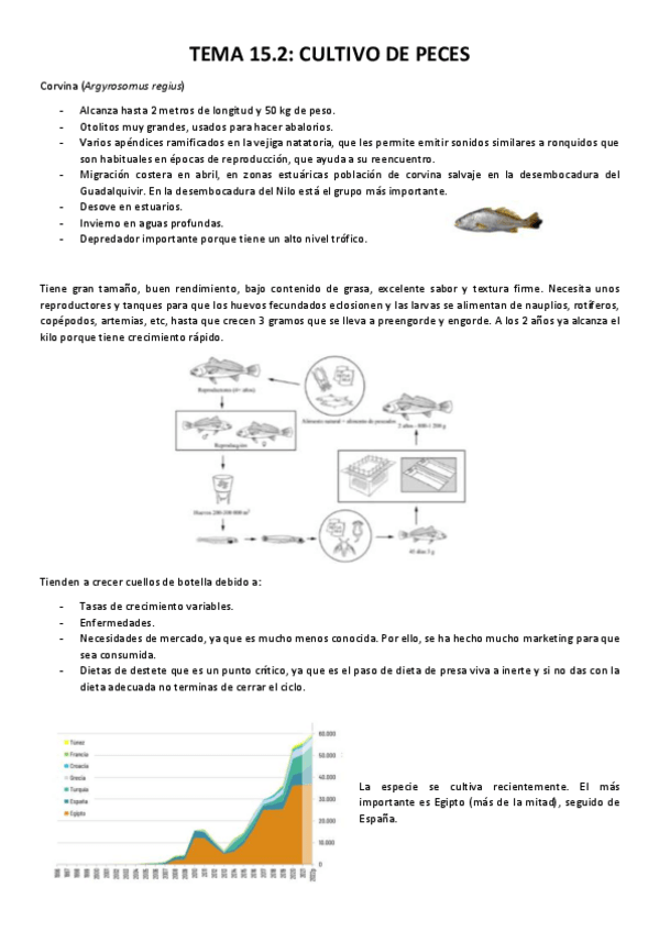 Miniatura del documento TEMA-15.2.pdf