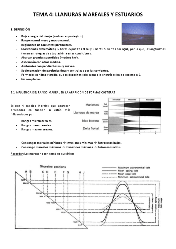 Miniatura del documento TEMA-4.pdf