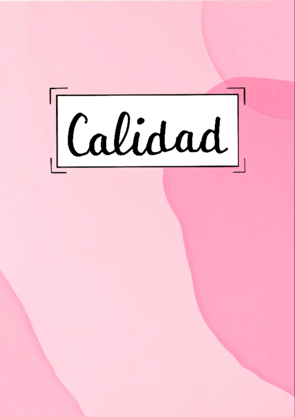 Miniatura del documento 2022Calidad-Apuntes-Digitales.pdf