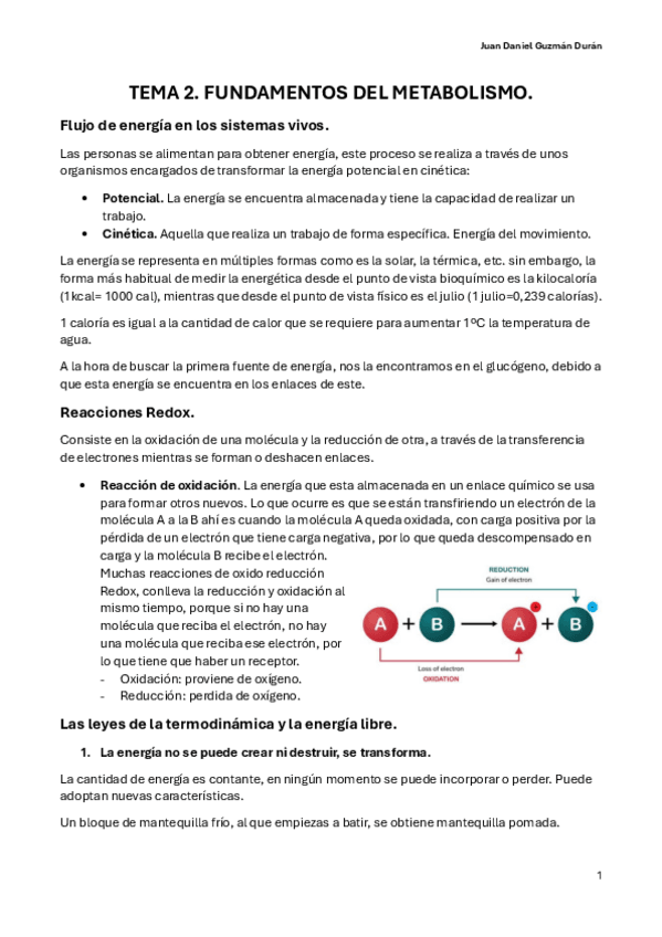 Miniatura del documento TEMA-2.-FUNDAMENTOS-DEL-METABOLISMO.pdf