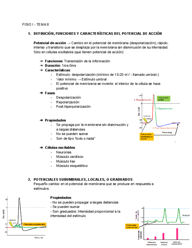 Miniatura del documento FISIO-I-TEMA-8-Google-Docs.pdf