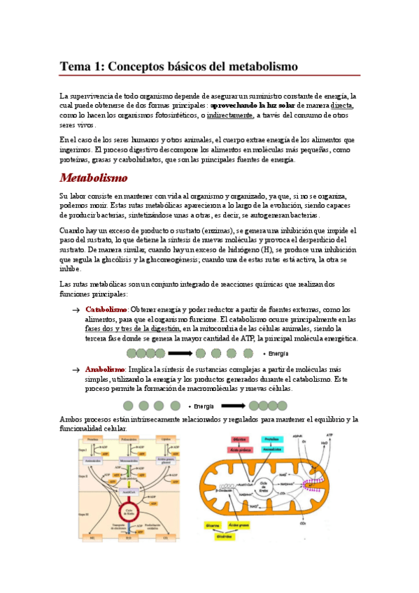 Miniatura del documento Tema-1.pdf