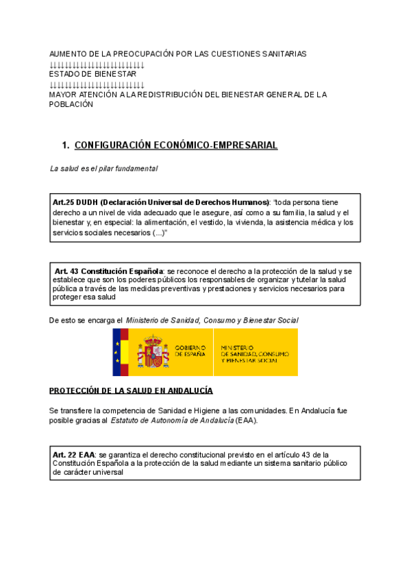 Miniatura del documento SAS-t1-configuracion-organizativa-del-sector-de-la-sanidad-en-Andalucia.pdf