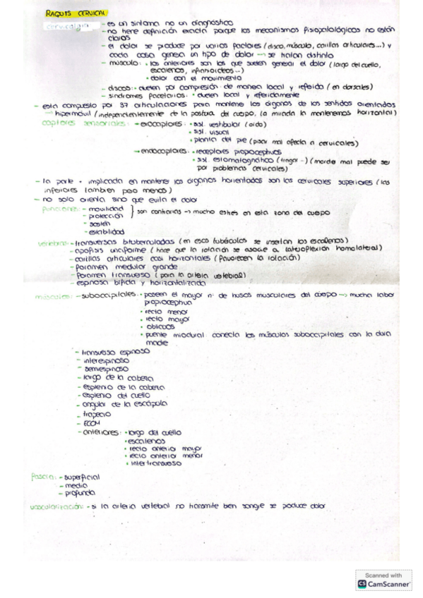 Miniatura del documento Terapia-manual-cervicales.pdf