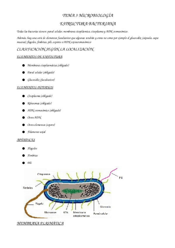 Miniatura del documento TEMA-3-micro.docx