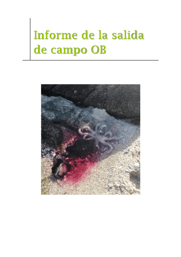 Miniatura del documento SalidaOB.pdf