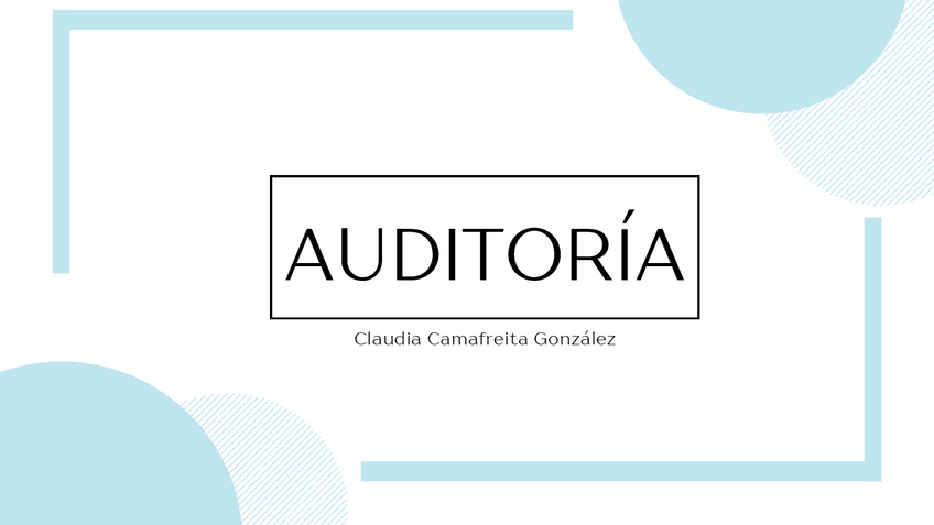 Miniatura del documento AUDITORIA.pdf