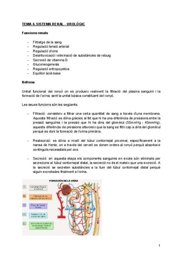 Miniatura del documento T4.-RENAL-UROLOGIC.pdf