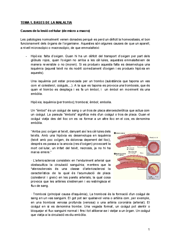Miniatura del documento T1.-BASES-DE-LA-MALALTIA.pdf