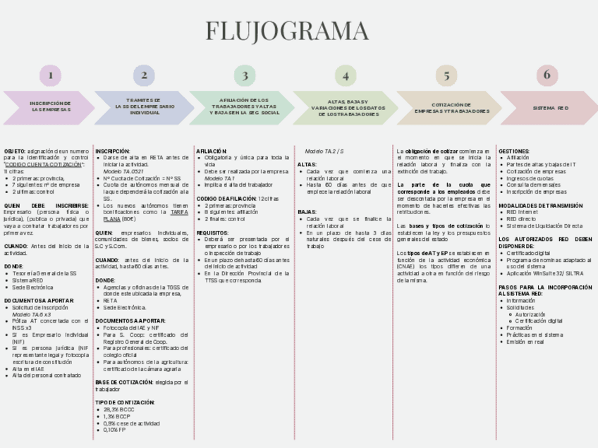 Miniatura del documento Flujograma-Seguridad-Social.pdf