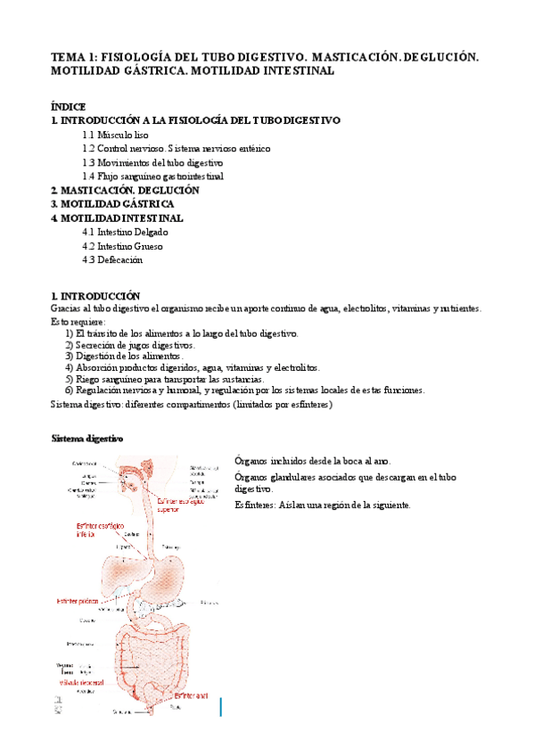 Miniatura del documento T1 Fisio.pdf