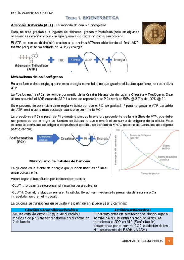 Miniatura del documento T1-Bioenergetica-metabolismo-resumen.pdf