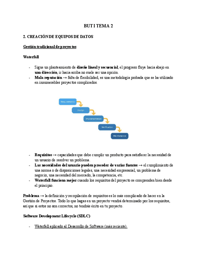 Miniatura del documento BUTI-Tema-2-notas-Ari-Silva.pdf