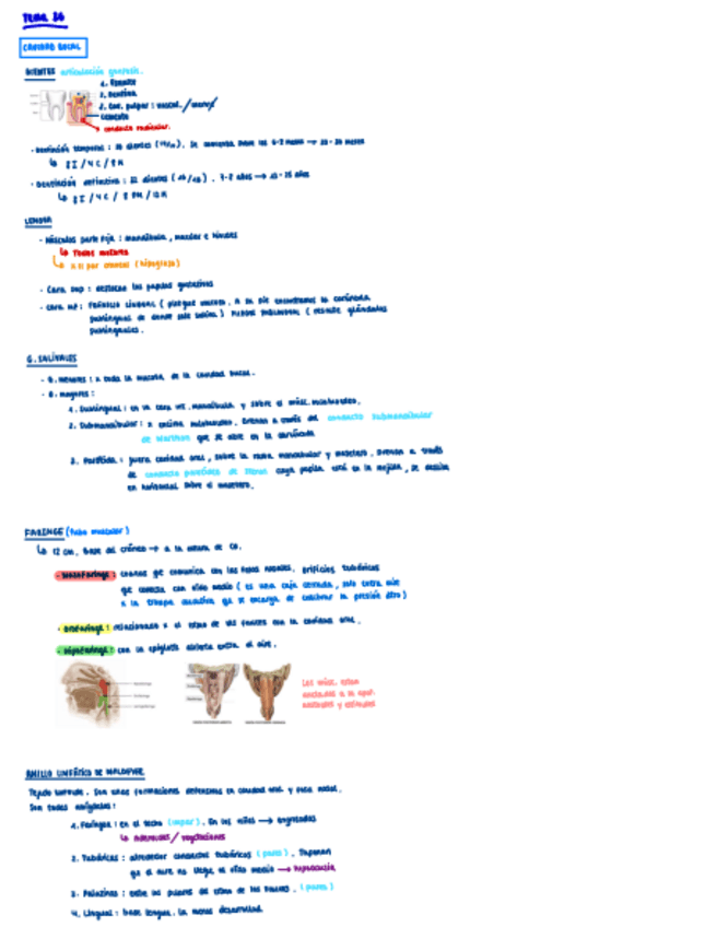 Miniatura del documento Tema-36-esquema.pdf