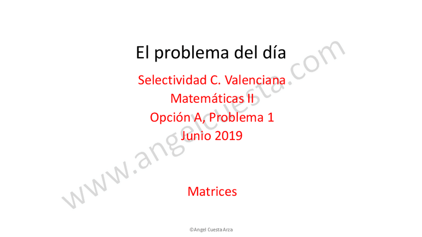 Miniatura del documento PAU-Junio-2019-Matematicas-II-Comunidad-Valenciana.pdf