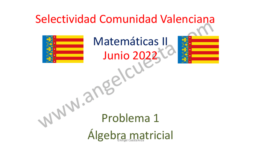 Miniatura del documento PAU-Junio-2022-Matematicas-II-Comunidad-Valenciana.pdf