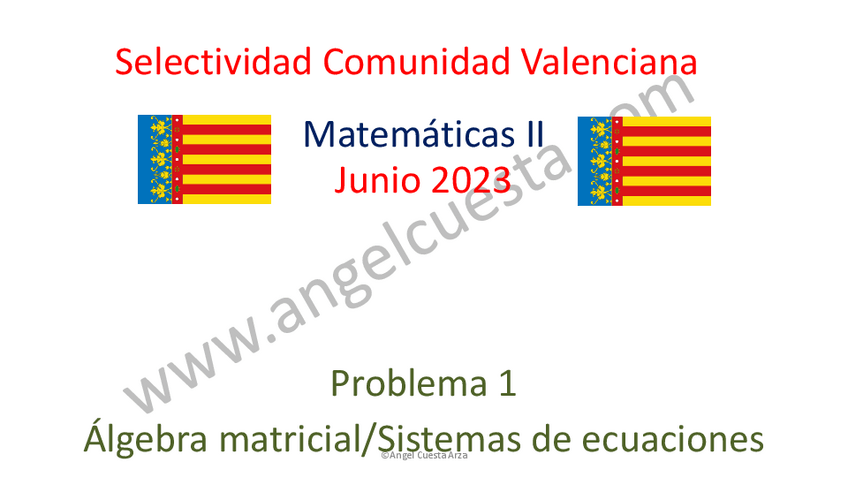 Miniatura del documento PAU-Junio-2023-Matematicas-II-Comunidad-Valenciana.pdf