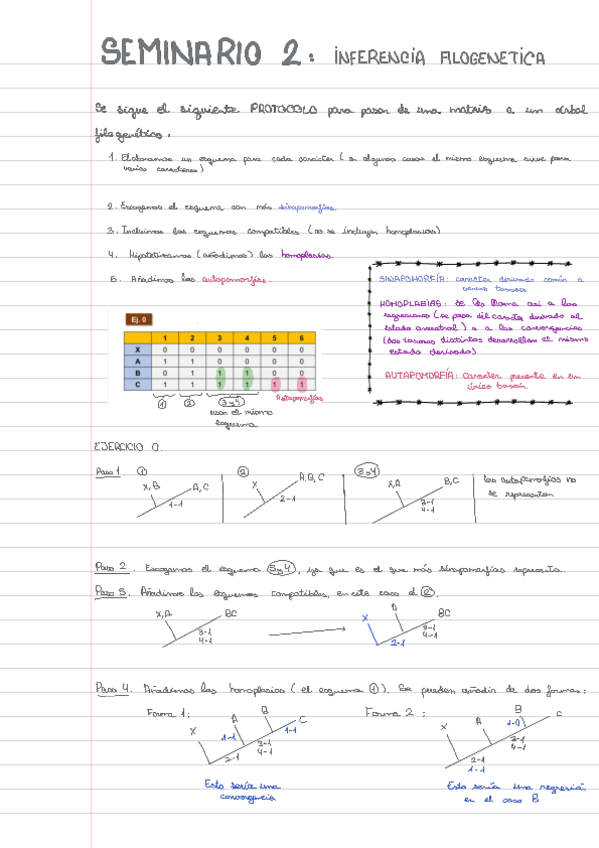 Miniatura del documento Seminario-2completo.pdf