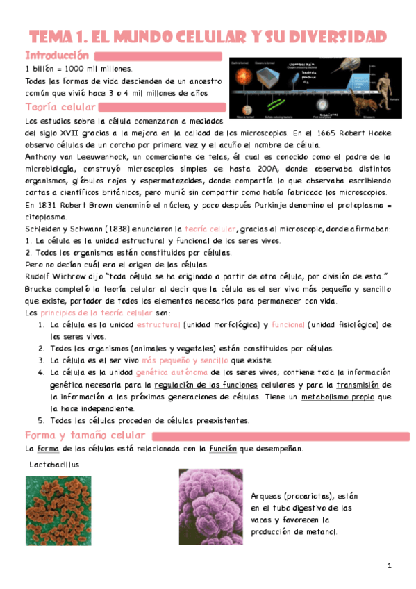 Miniatura del documento Apuntes-Biologia-Celular-1r-parcial.pdf