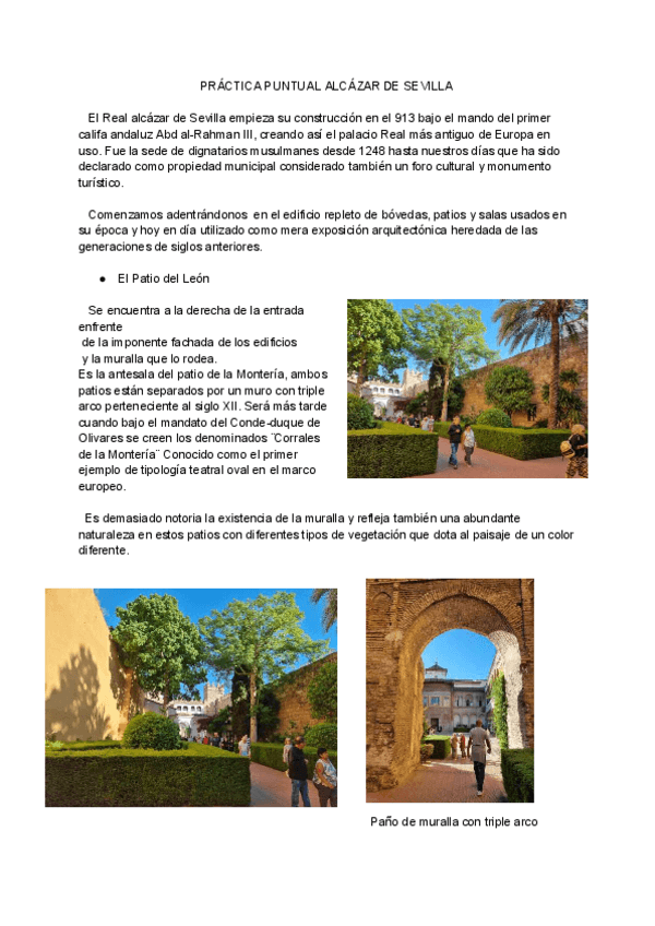 Miniatura del documento REAL-ALCAZAR-DE-SEVILLA-compressed.pdf