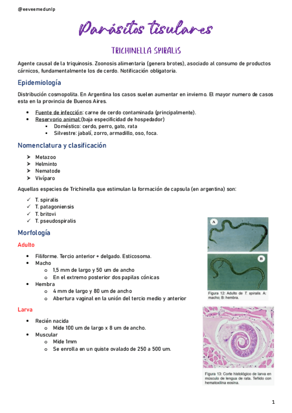 Miniatura del documento Parasitos-tisulares.pdf